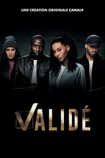 Regarder Validé en streaming complet