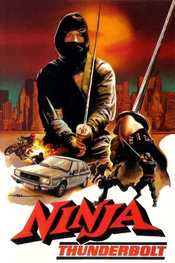 Regarder Ninja Fury en streaming complet